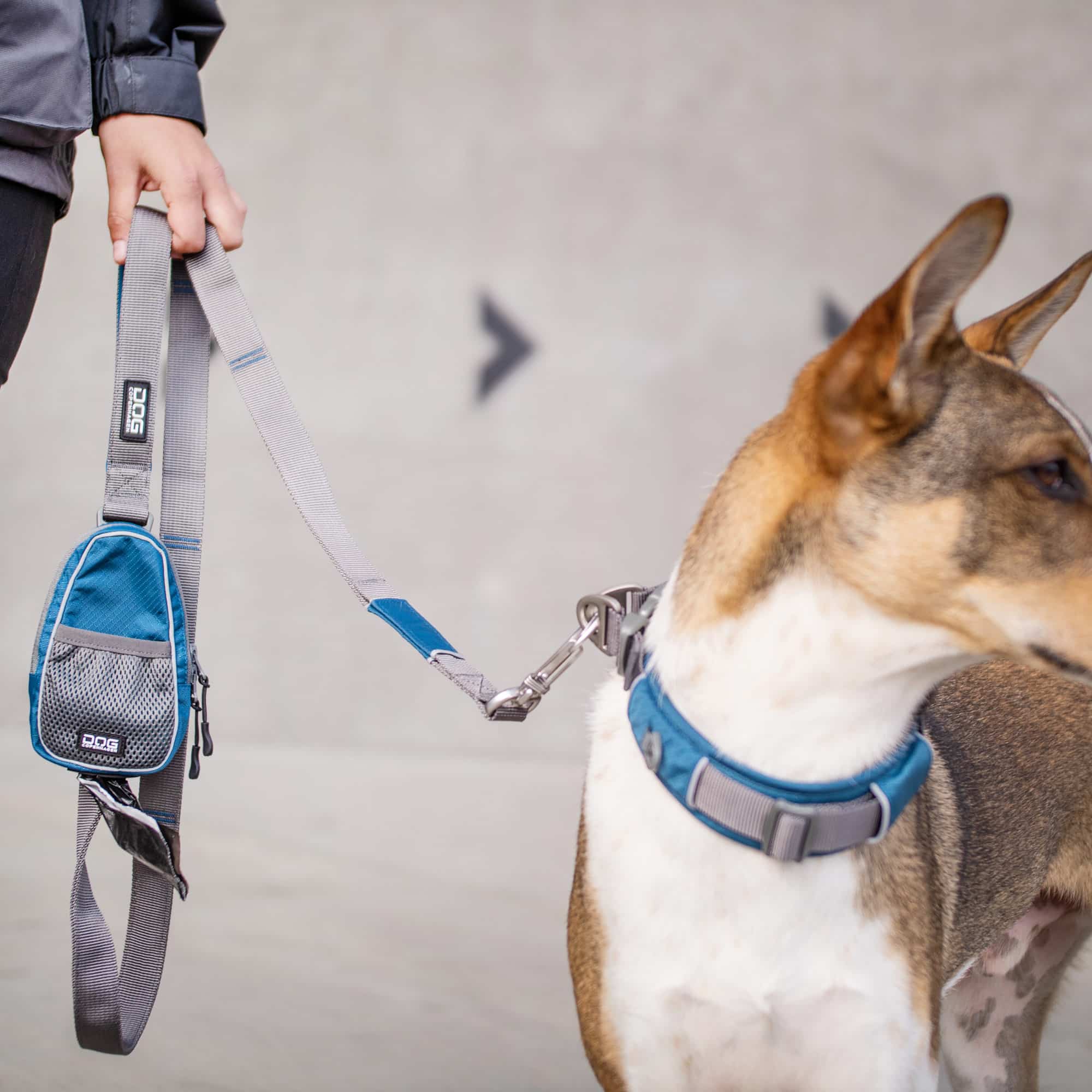 Outdoor-PO-Leashbag-5